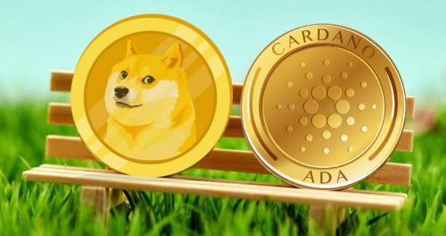 比特币不再是“万众宠儿”？ADA、DOGE 成为最受 eToro 美国用户欢迎的加密货币